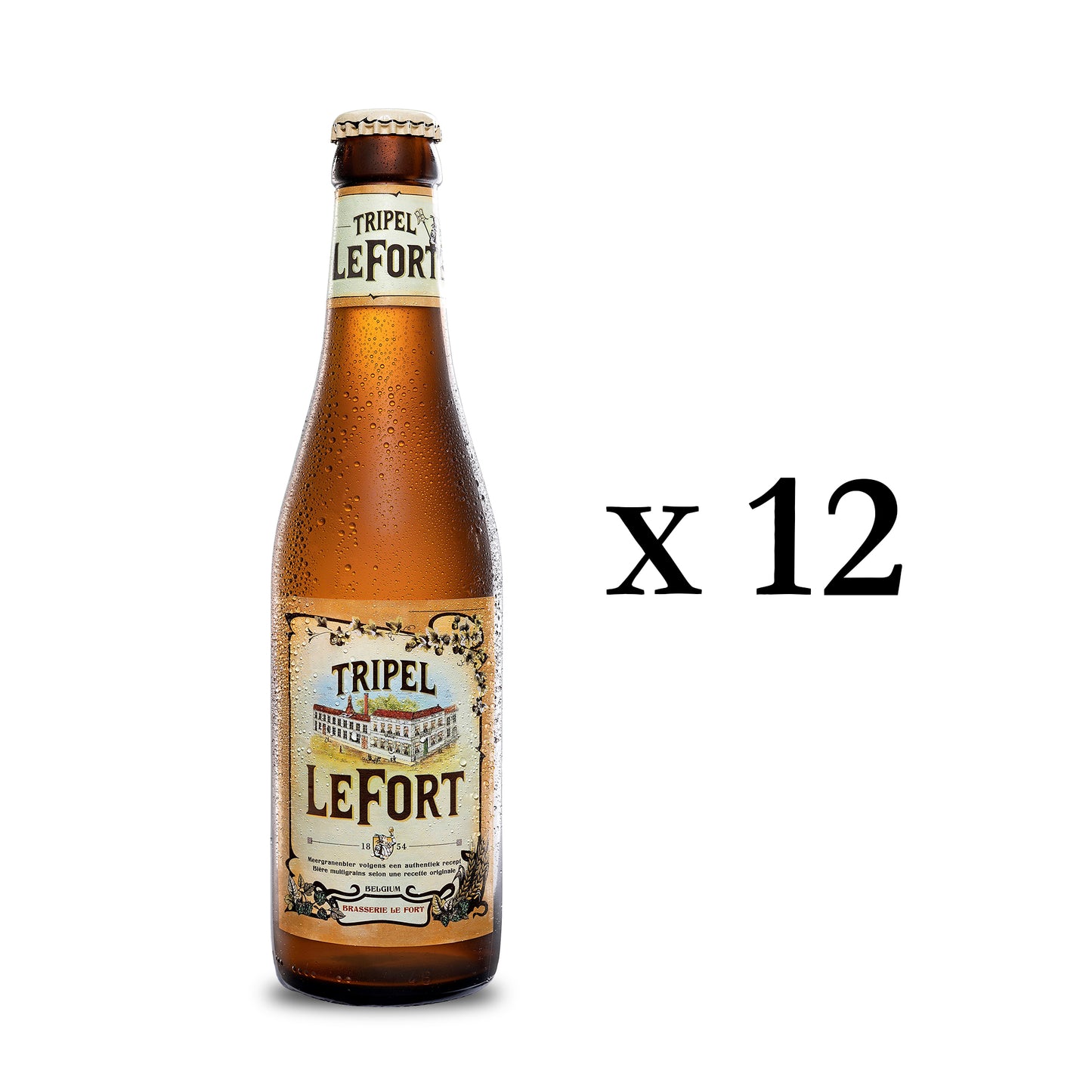 Paquet de 12 : Triple LeFort