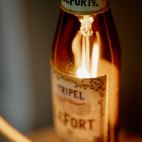 Tripel LeFort Bottle glorifier